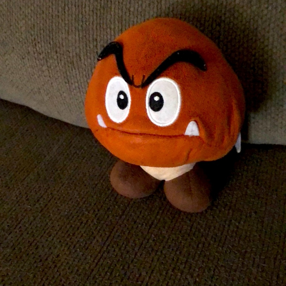 Goomba used perfect gift